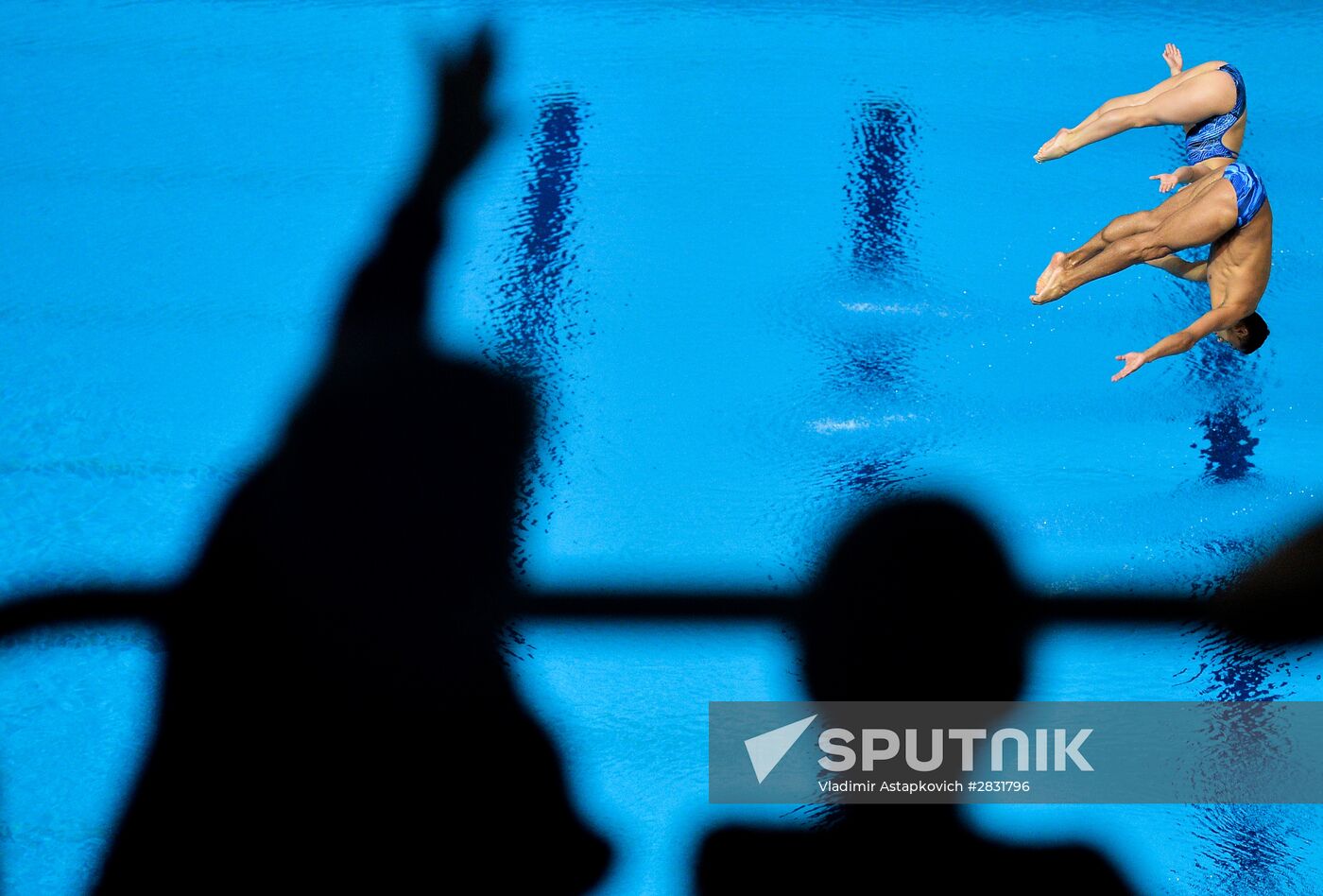 FINA Diving World Series 2016. Day Three
