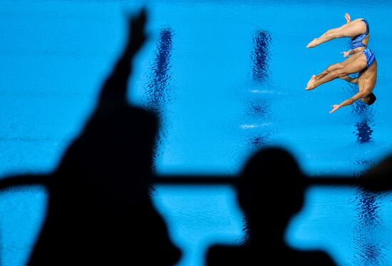 FINA Diving World Series 2016. Day Three