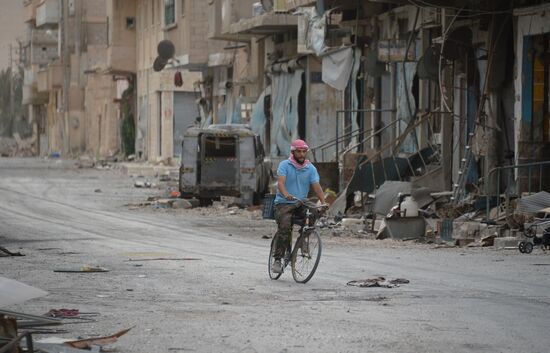 Palmyra update