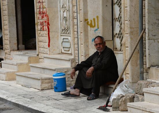 Palmyra update