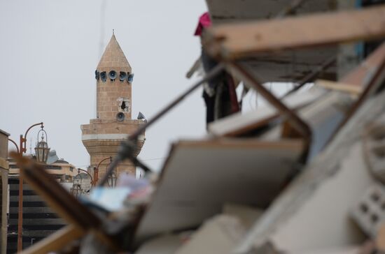 Palmyra update