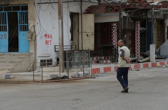 Palmyra update