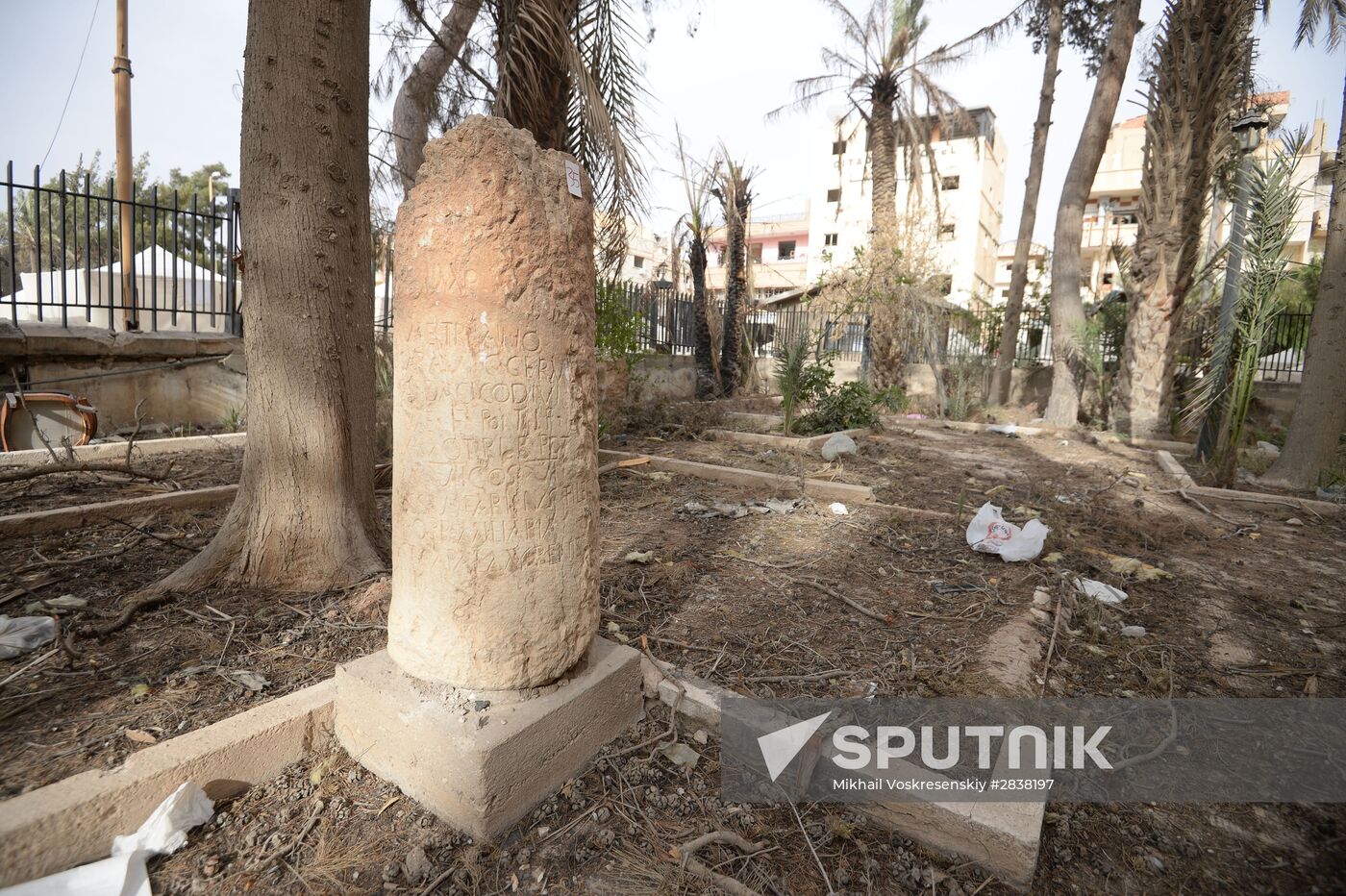 Palmyra update