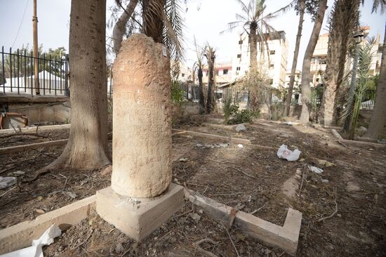 Palmyra update