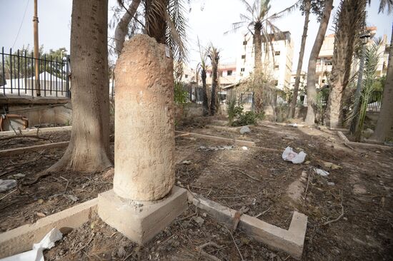 Palmyra update