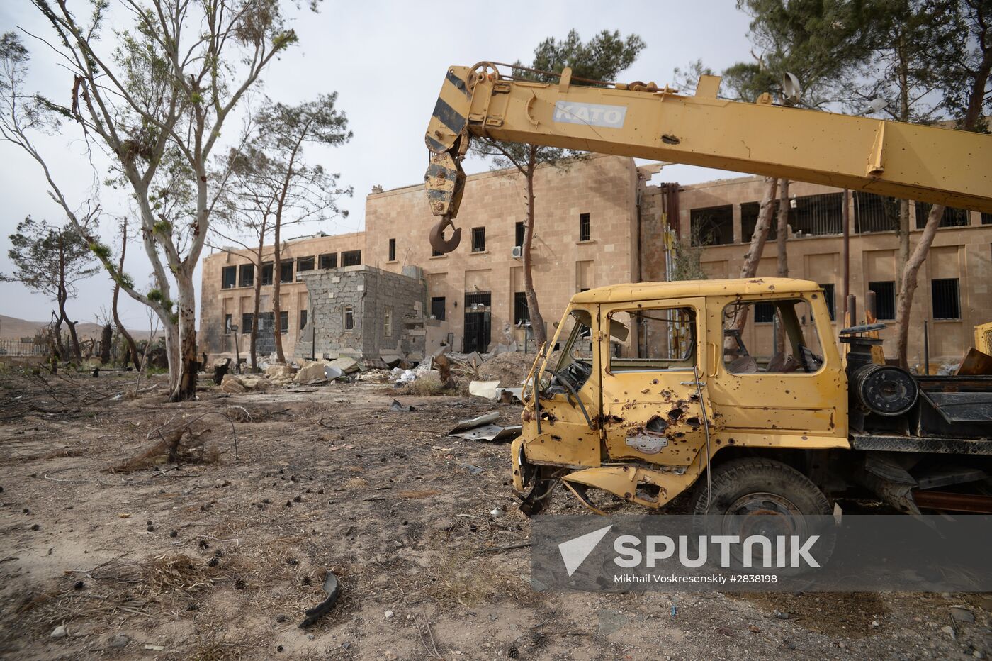 Palmyra update