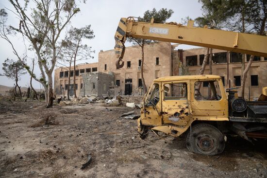 Palmyra update