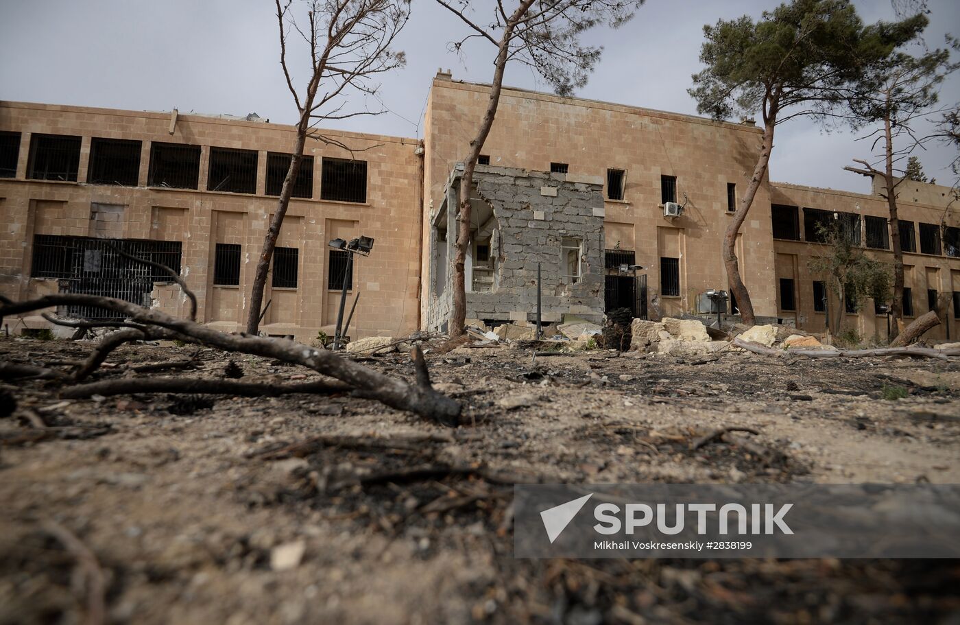 Palmyra update