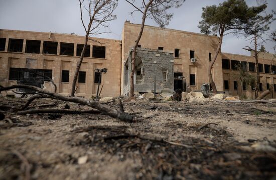 Palmyra update