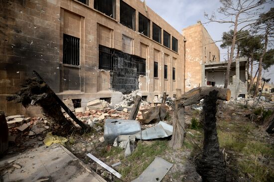 Palmyra update