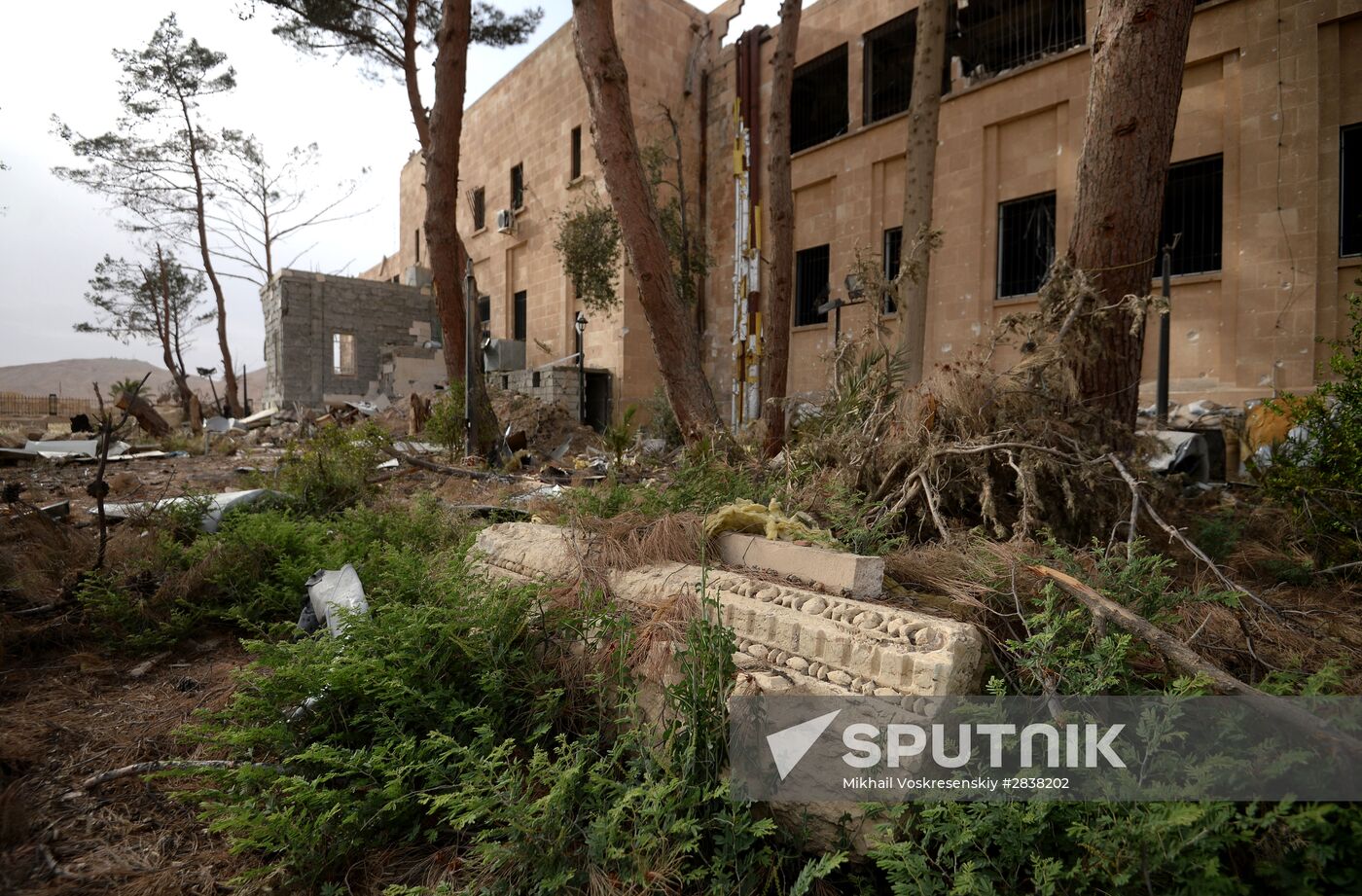 Palmyra update