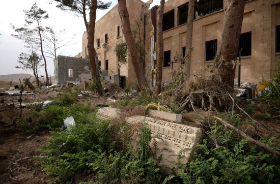 Palmyra update
