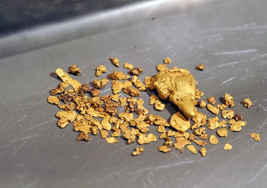 Gold extraction in Trans-Baikal Territory