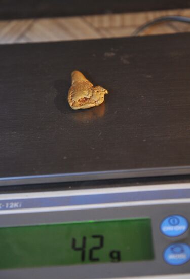 Gold extraction in Trans-Baikal Territory
