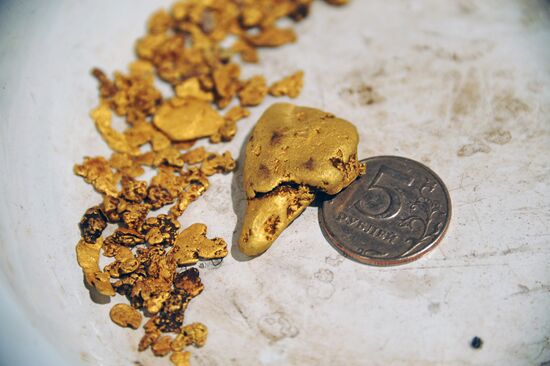 Gold extraction in Trans-Baikal Territory