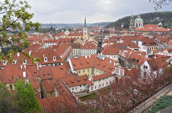 Cities of the world. Prague