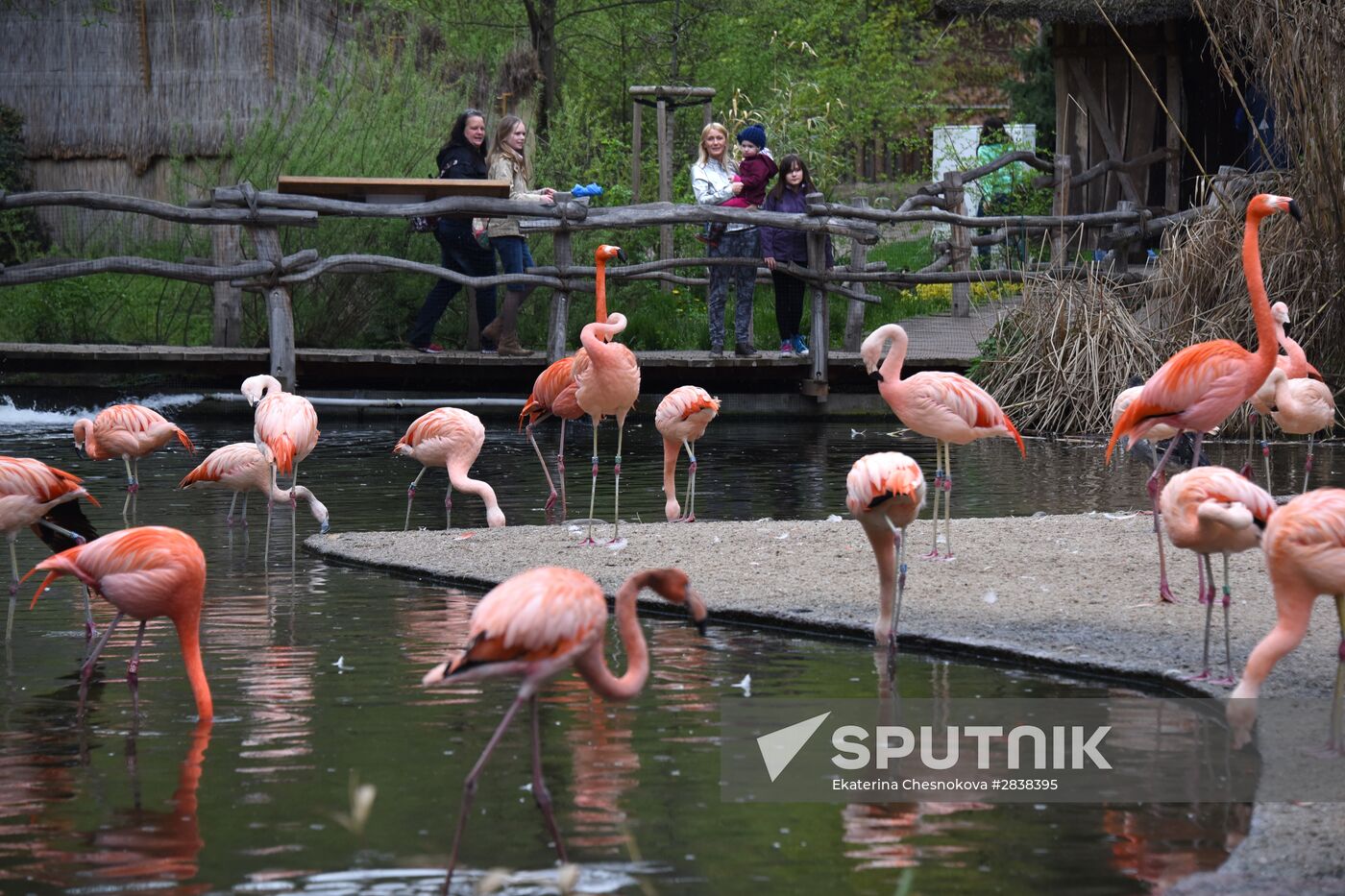 Prague Zoo