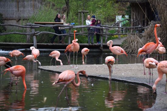 Prague Zoo