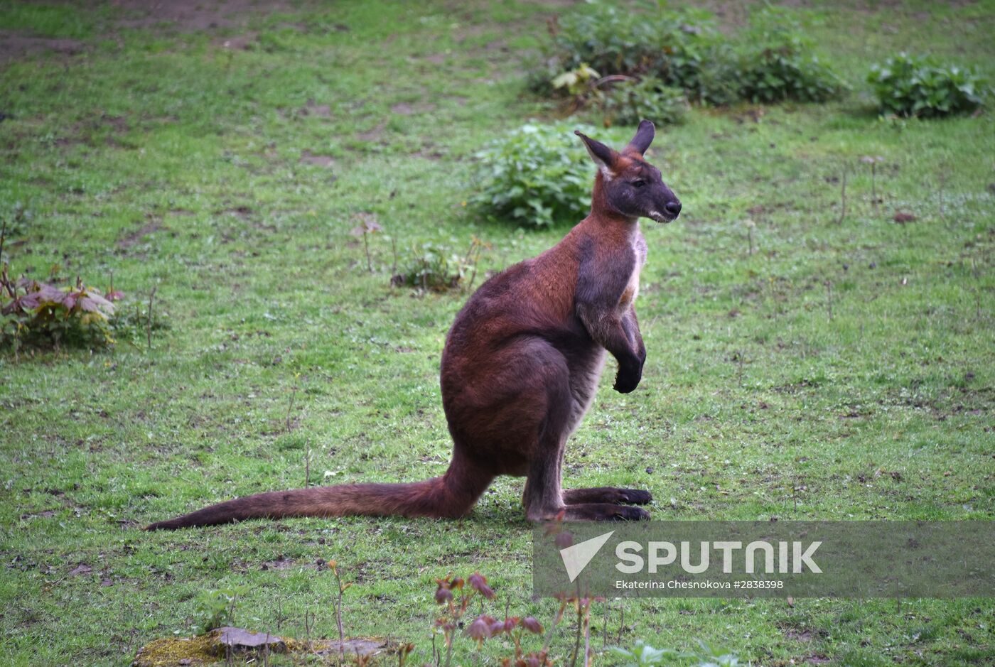 Cities of the world. Prague Zoo