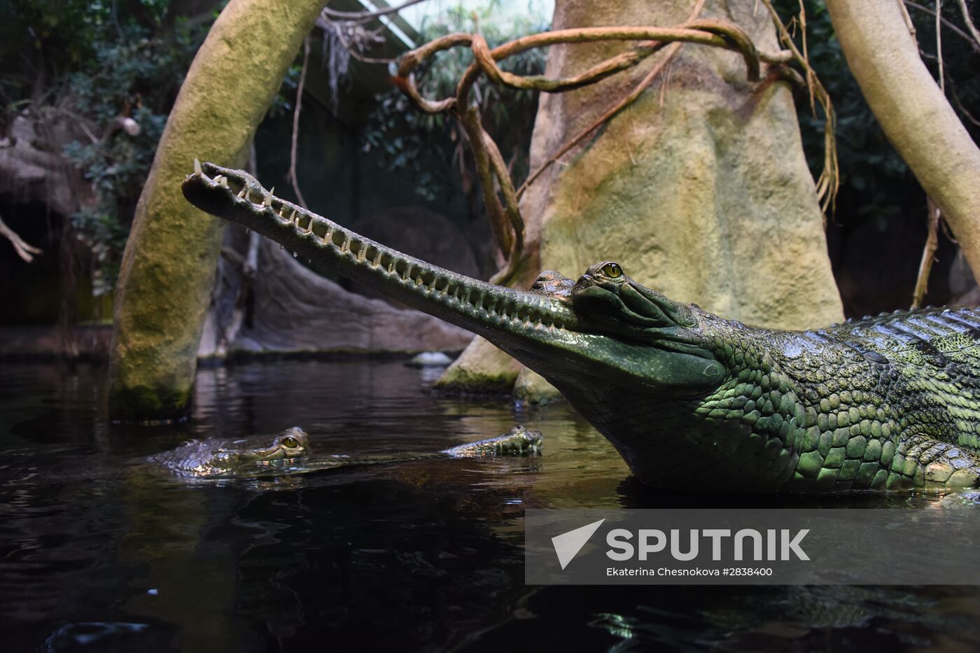 Cities of the world. Prague Zoo
