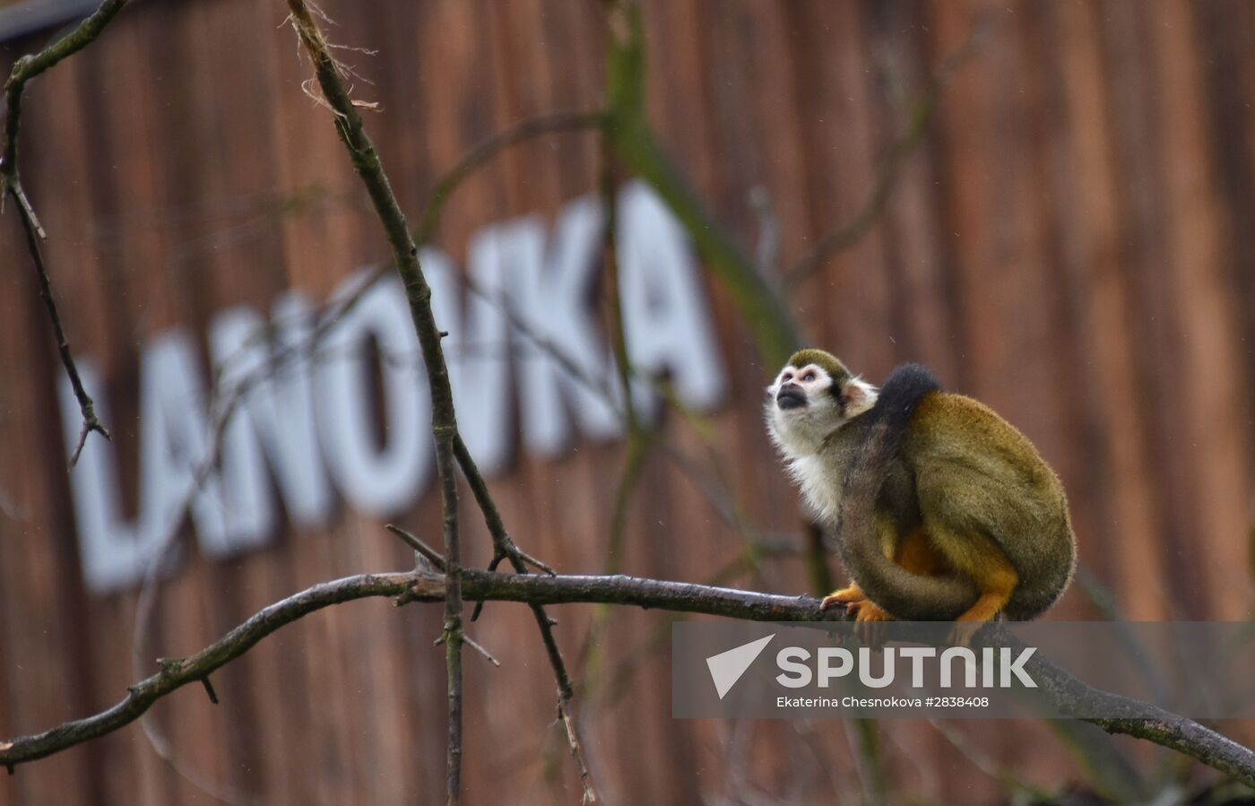 Cities of the world. Prague Zoo
