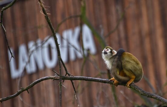 Cities of the world. Prague Zoo