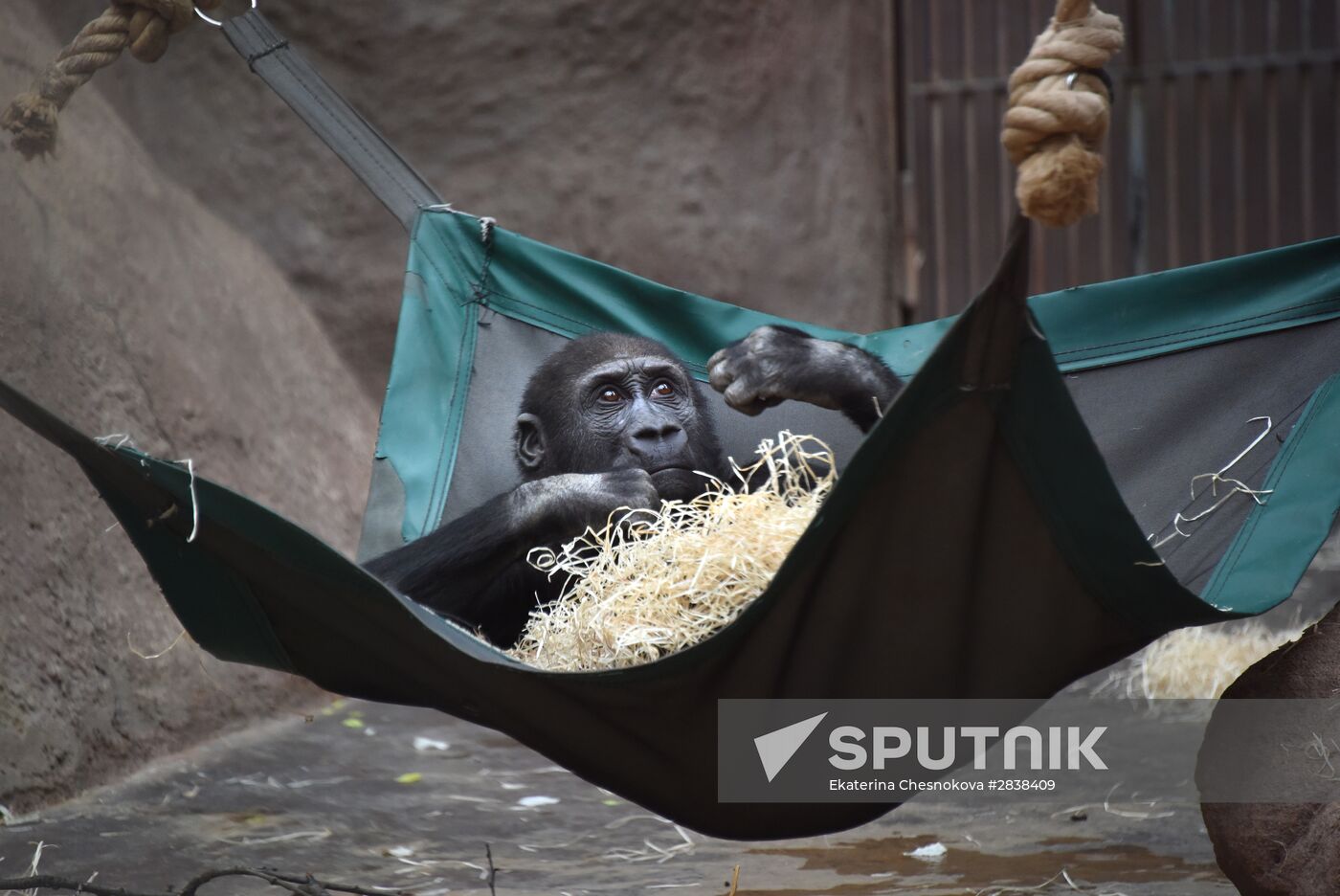 Cities of the world. Prague. Zoo
