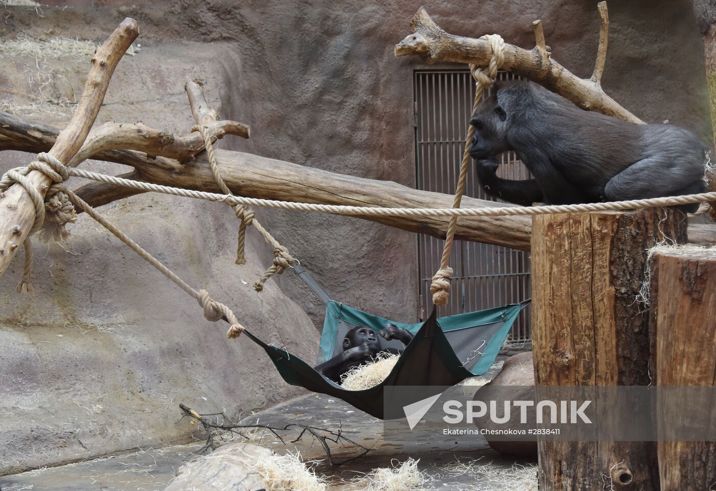 Cities of the world. Prague. Zoo