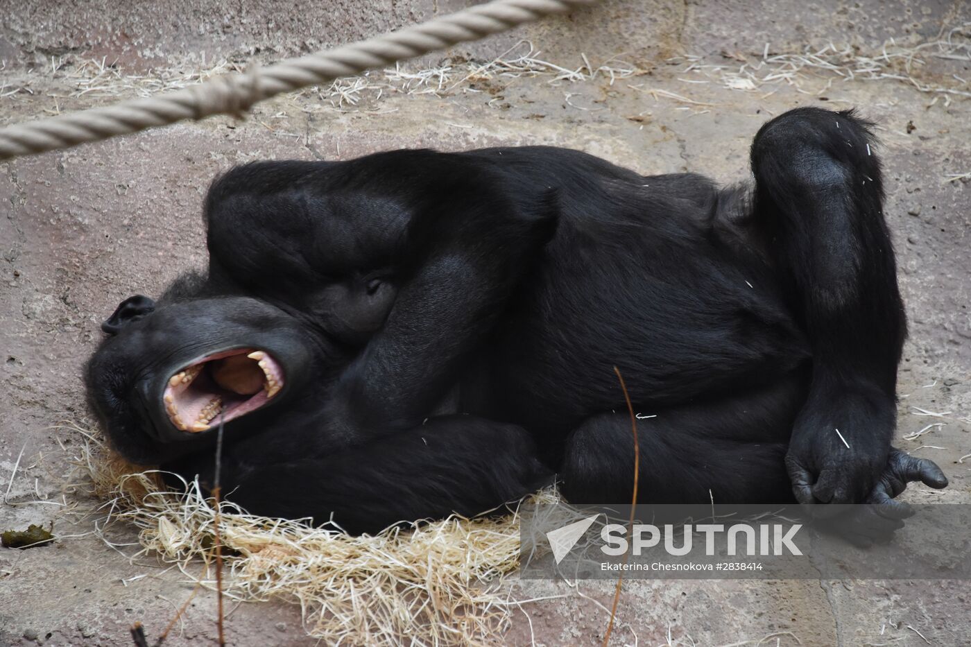 Cities of the world. Prague. Zoo