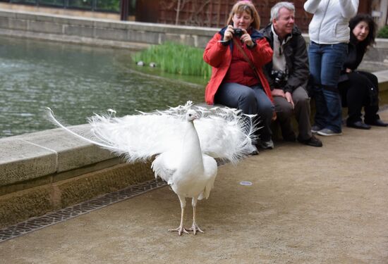Cities of the world. Prague. Zoo
