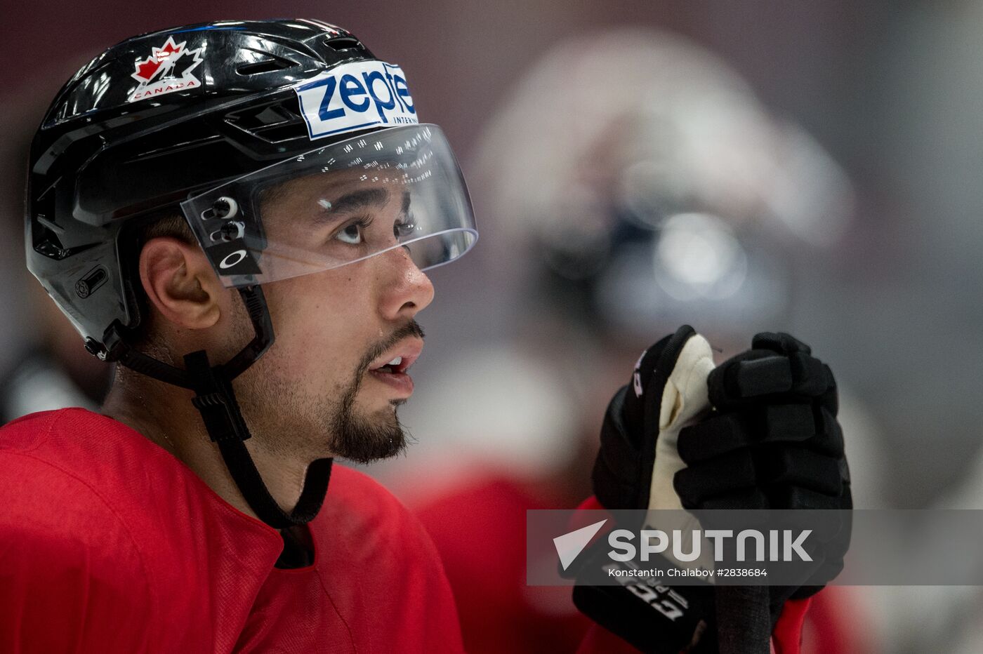 National teams train for 2016 IIHF World Championship