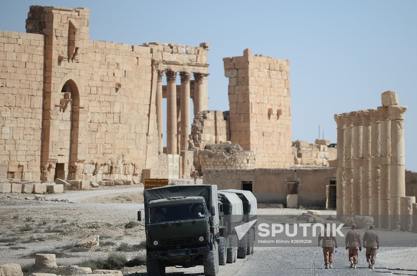 Palmyra