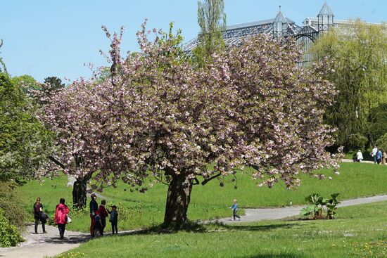 Botanical Garden in Berlin