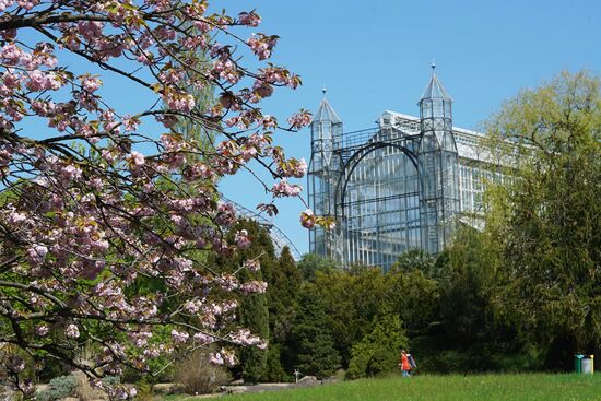 Botanical Garden in Berlin