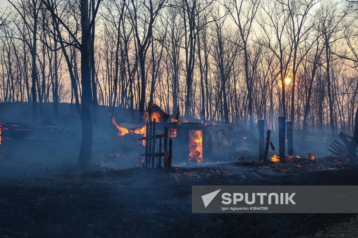 Amur Region hit by wildfires