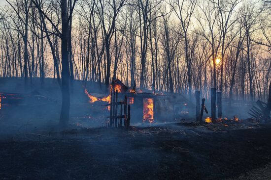 Amur Region hit by wildfires