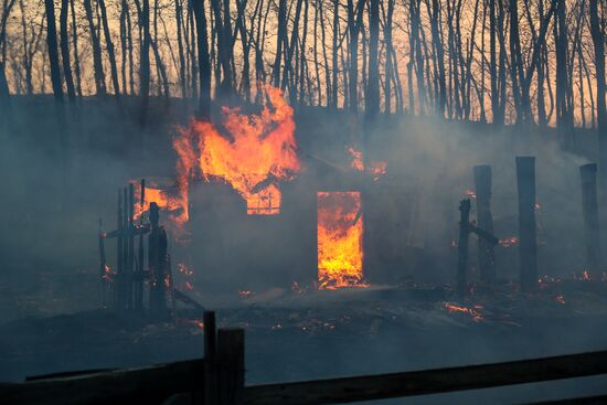 Amur Region hit by wildfires