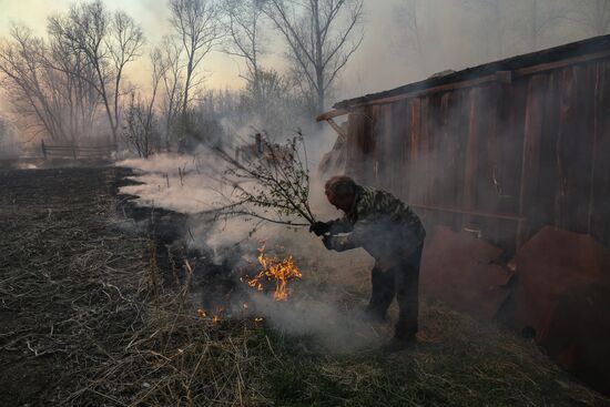 Amur Region hit by wildfires