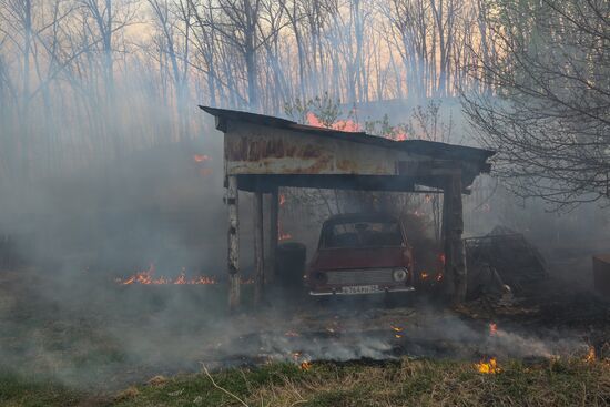 Amur Region hit by wildfires