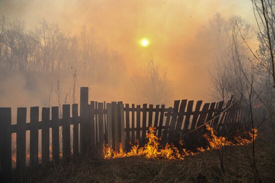 Amur Region hit by wildfires