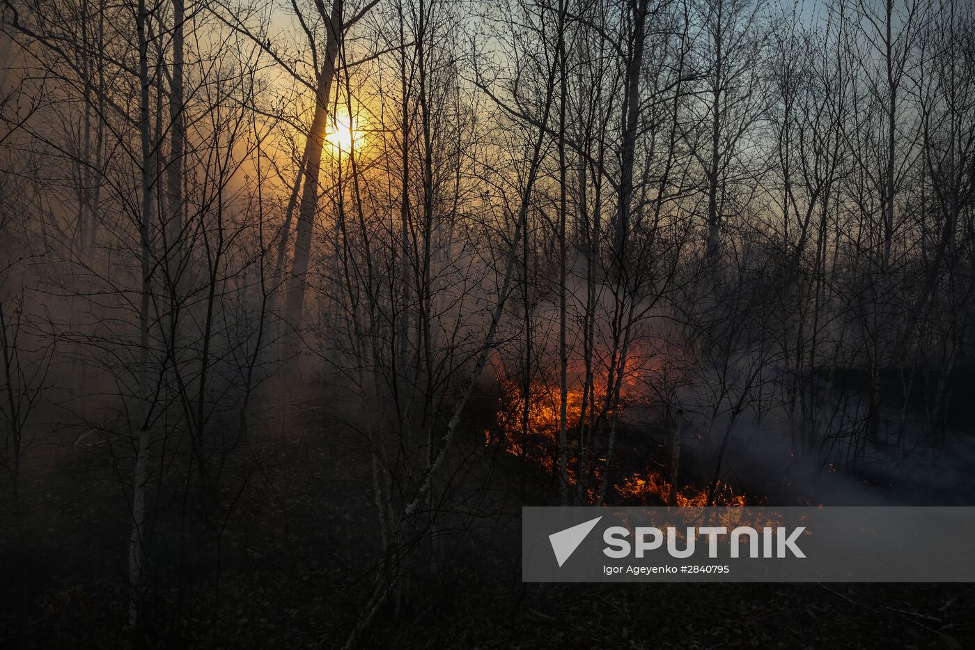 Amur Region hit by wildfires