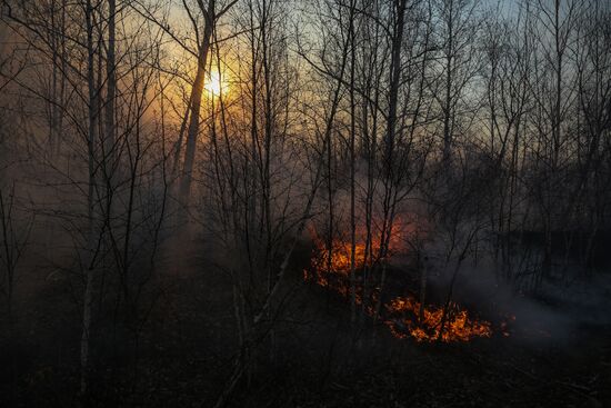 Amur Region hit by wildfires