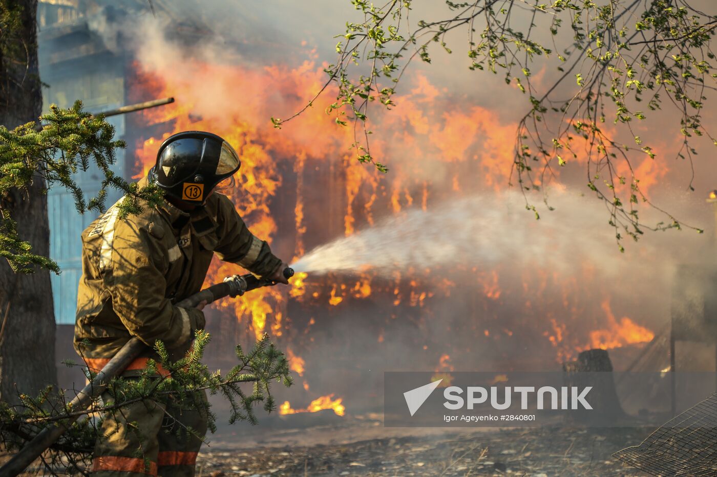 Amur Region hit by wildfires