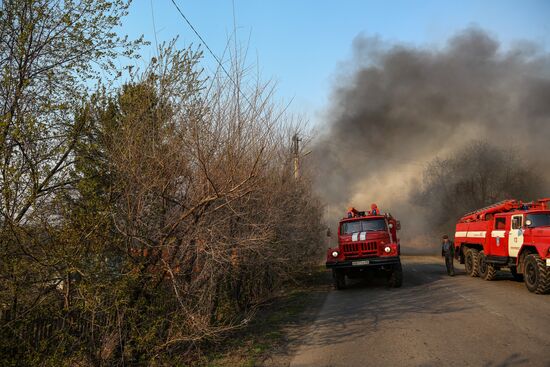 Amur Region hit by wildfires