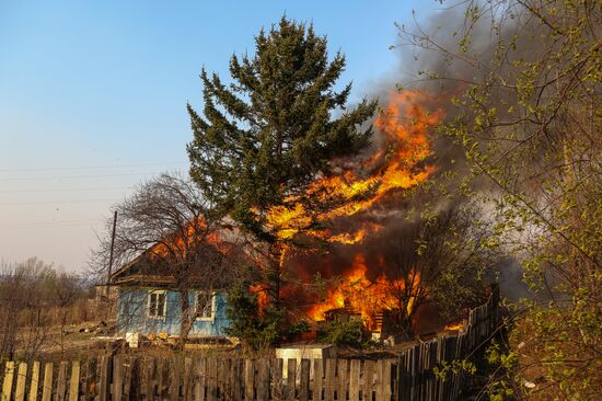 Amur Region hit by wildfires