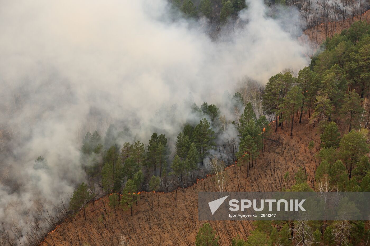 Wildfires in Amur Region