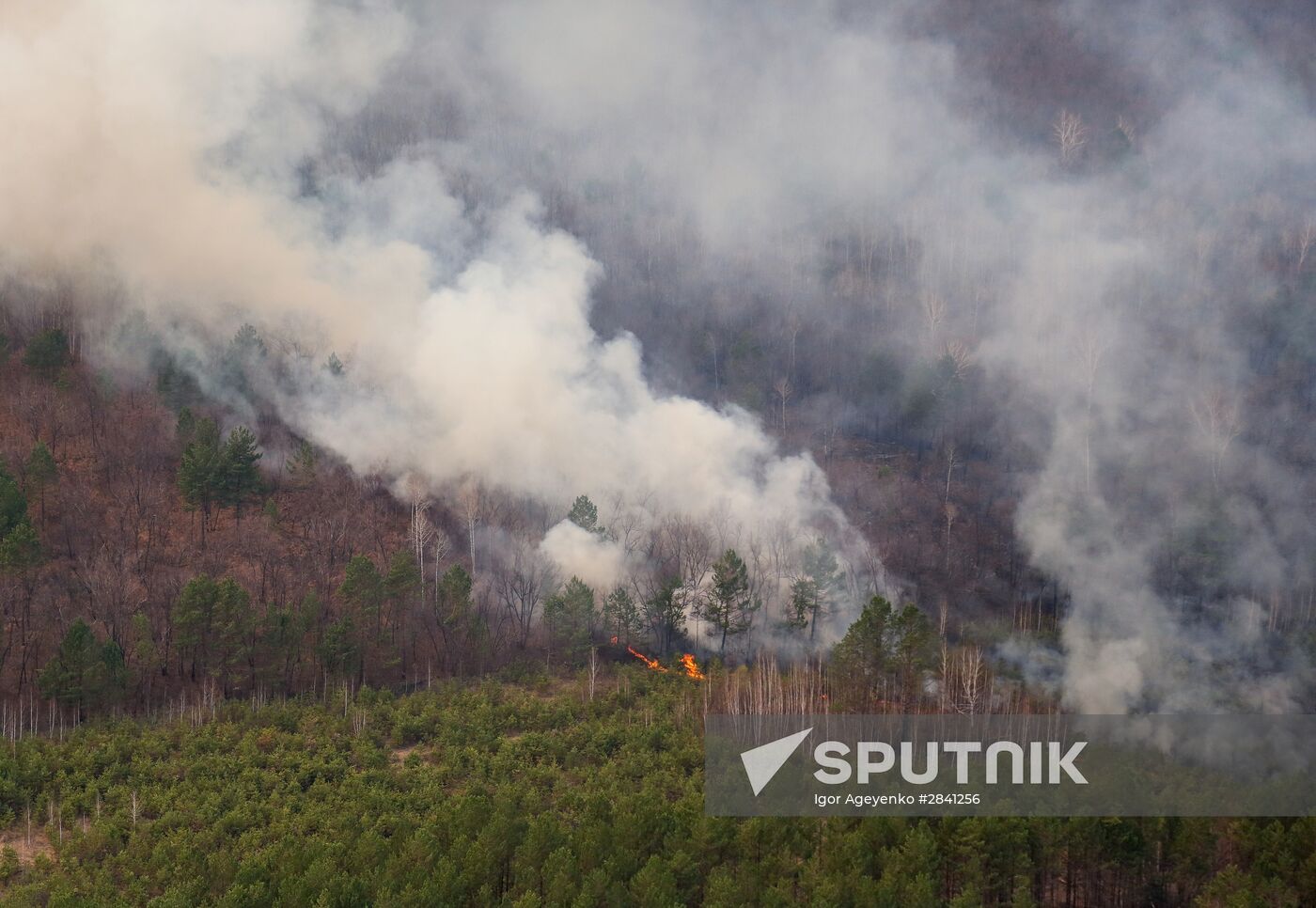 Wildfires in Amur Region