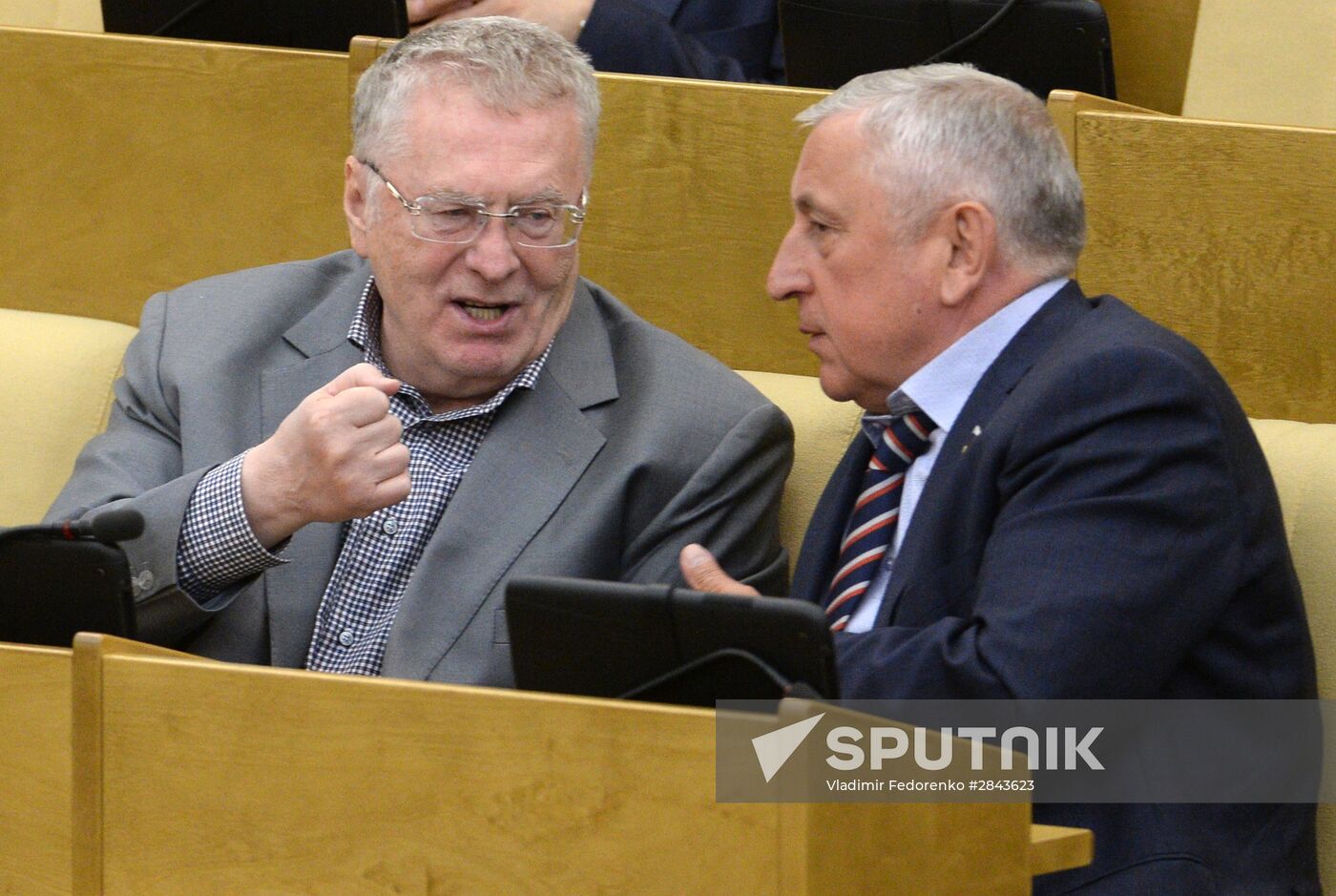 State Duma plenary session