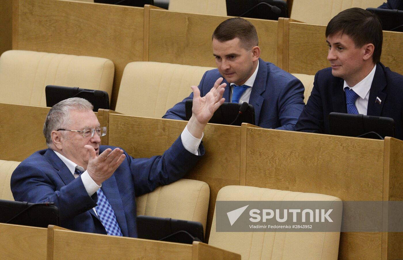 State Duma plenary session