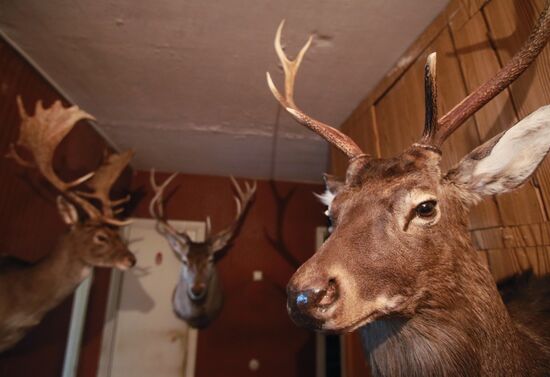 Taxidermist Sergei Sukhoverov